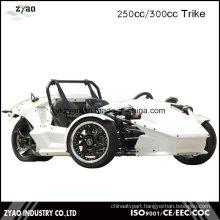 EEC 250cc/300cc Zongshen Engine Trike Adult Tricycle Ztr Trike